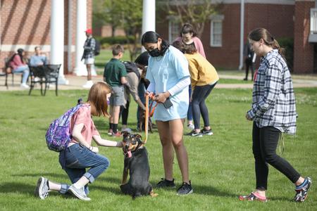 Student Activities Council hosts a "puppy party" during their Backyard Bash event. - Photo by Kristi McMurry Woody