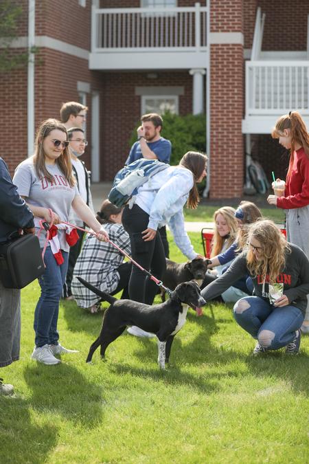 Student Activities Council hosts a puppy party for their weeklong Backyard Bash event. - Photo by Kristi McMurry Woody