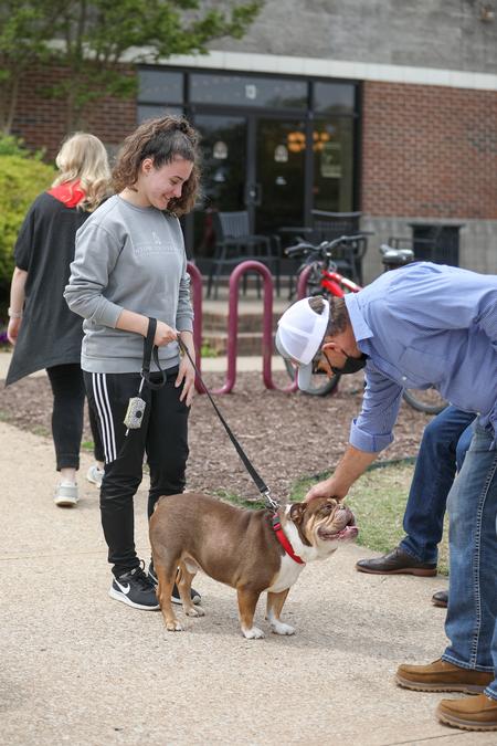 Naomi Mengel, journalism major, walks Buster the Bulldog around during Accepted Student Day. - Photo by Kristi McMurry Woody