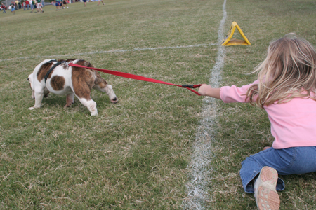 A future Unionite interacts with Buster on the sidelines during a Family Weekend flag football game. - Photo by Kyle Kurlick