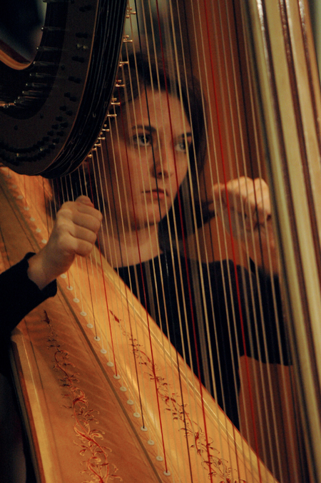 Senior Joy Ledden strums the strings of her harp during a Symphonic Band performance. - Photo by Brad Moore