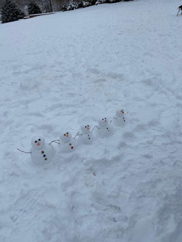 Fun in the Snow