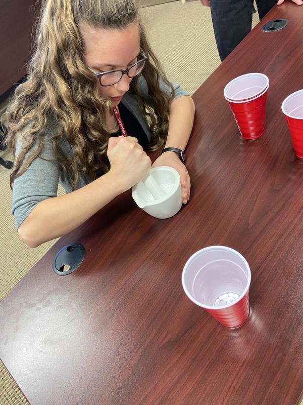Pharmacy Camp 2021