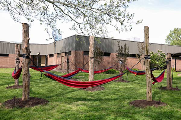 Hammock Garden from the south